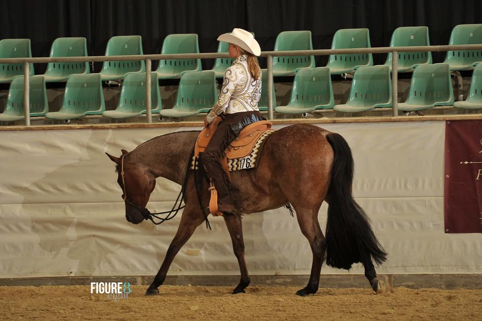 13650390_10154337427913970_1811509936_n