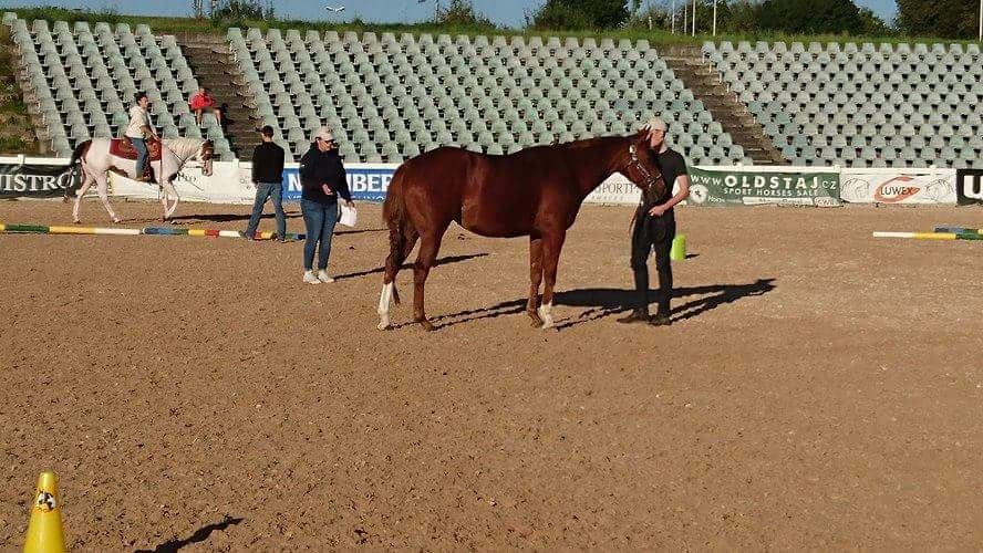 15134357_1284162268315000_707390673_n