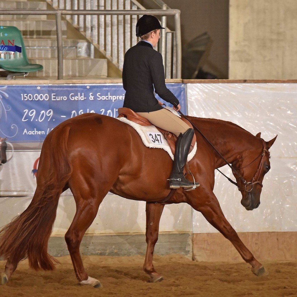 Tränarpanelen tipsar: Så kan du utvecklas i gångartsgrenarna