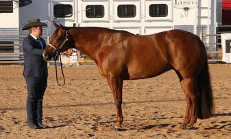 69260075_927194540980543_1056582845536927744_n