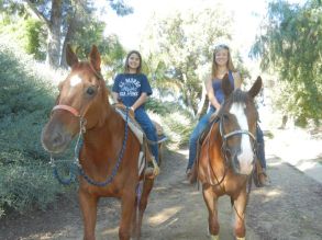 396903_10150437868680776_718094802_n