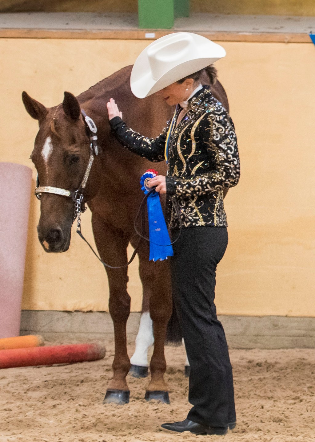 Coaching med Anette Nilsson Pavlovic: Att hantera tävlingsprestationer och utvecklas som&nbsp;ryttare