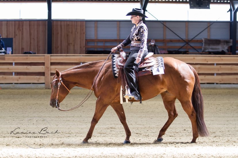 Rutinerade tävlingsryttares tips för groomingbag, budget och ren&nbsp;häst